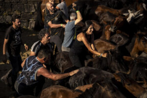 La 'rapa das bestas' de la ciudad gallega de Sabucedo ha empezado su edición de este año con cincuenta caballos salvajes desparasitados y con las crines cortadas, en una tradición centenaria que ha vuelto a sumar mujeres hasta alcanzar las siete 'aloitadoras'. Como cada primer sábado de julio, Sabucedo (A Estrada, Pontevedra) se ha preparado para recibir a más de 20.000 personas y aumentar, por mucho, su habitual población que no llega a los 40 habitantes. EFE/ Brais Lorenzo