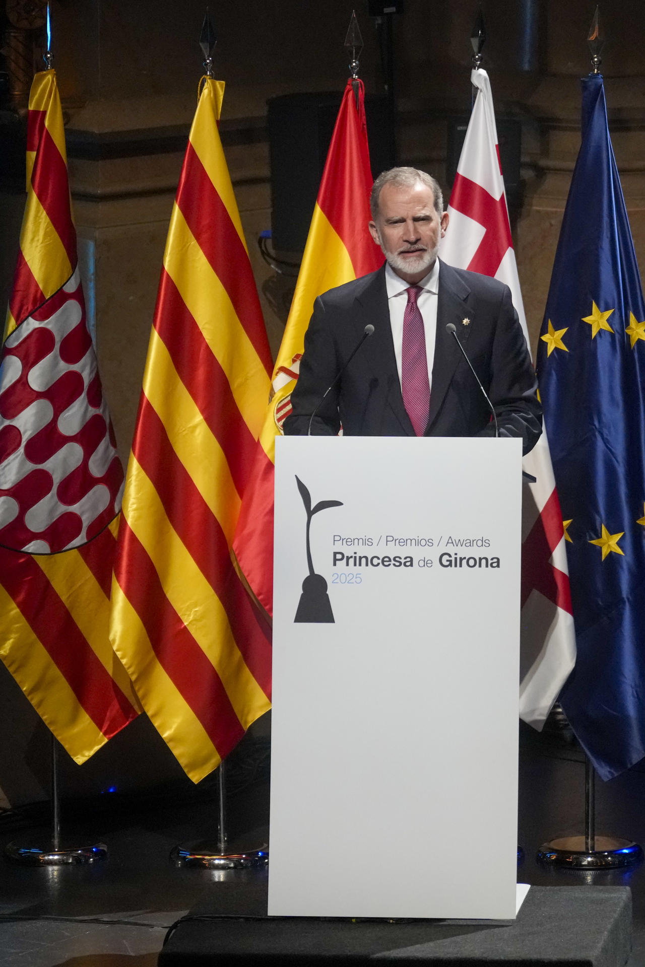 Felipe VI ha destacado este miércoles en Barcelona los lazos entre Cataluña y el resto de España que se "nutren del afecto y se enriquecen con el conocimiento mutuo, la solidaridad y los grandes propósitos compartidos, especialmente entre los jóvenes. EFE / Alejandro García.
