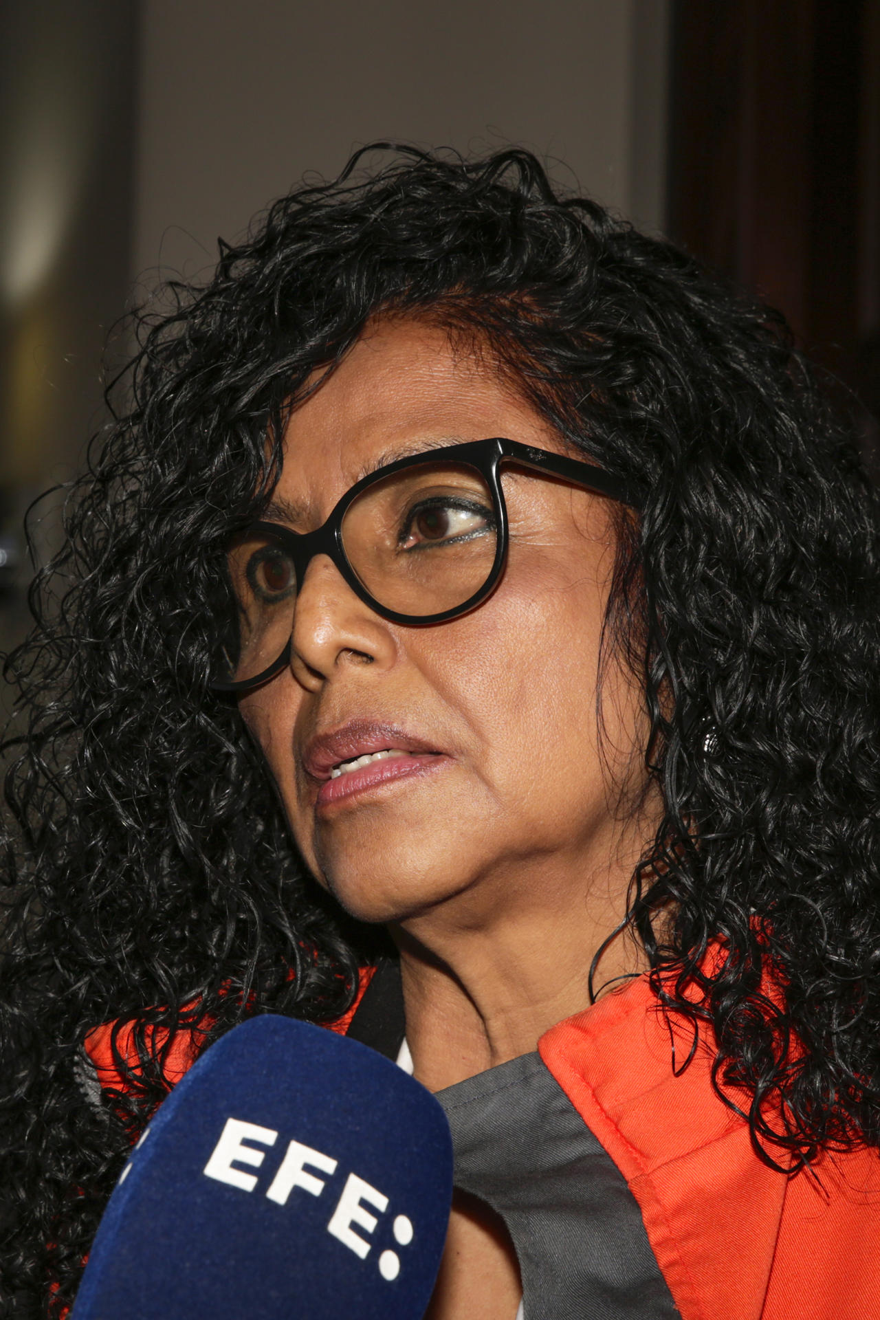 La directora ejecutiva de la Asociación para una Ciudadanía Participativa (ACI PARTICIPA), Hedme Castro, posa durante una entrevista con EFE este jueves en Tegucigalpa (Honduras). EFE/ Gustavo Amador