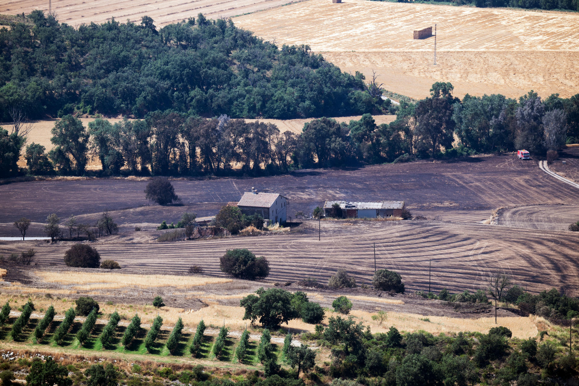 Vista de una de las zonas quemadas por el primer gran incendio forestal del año en España, que ha ocasionado la muerte de dos personas en Lleida. EFE/Álex López

