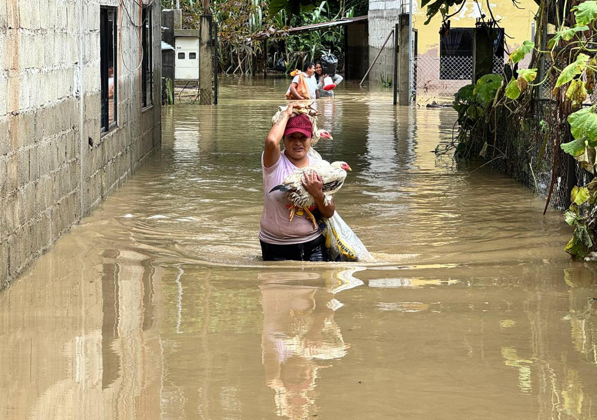 Fotografía cedida por la Prefectura de Zamora Chinchipe que muestra personas caminando en medio de una inundación en la provincia Zamora Chinchipe (Ecuador). EFE/Prefectura de Zamora Chinchipe