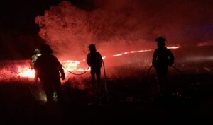 Efectivos del Infoca durante los trabajos realizados esta madrugada pasada. El Plan Infoca trabaja para que el incendio forestal que afecta a un paraje de El Garrobo (Sevilla) no se acerque a una fábrica de explosivos, una cercanía que provocó que esta madrugada se activase la situación operativa 1 de la fase de emergencia de la Junta de Andalucía, han informado a EFE fuentes del operativo desplazado a la zona. EFE/Junta de Andalucía//SOLO USO EDITORIAL/SOLO DISPONIBLE PARA ILUSTRAR LA NOTICIA QUE ACOMPAÑA (CRÉDITO OBLIGATORIO)//