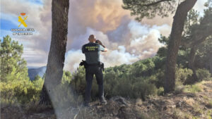 Un agente de la Guardia Civil observa el incendio forestal en la comarca cacereña de Las Hurdes, que ha quemado una superficie de 2.600 hectáreas en un perímetro de 28,5 kilómetros y en el que trabaja un dispositivo de emergencia que ha movilizado a 400 efectivos de extinción. EFE/ Guardia Civil // SOLO USO EDITORIAL/SOLO DISPONIBLE PARA ILUSTRAR LA NOTICIA QUE ACOMPAÑA (CRÉDITO OBLIGATORIO)