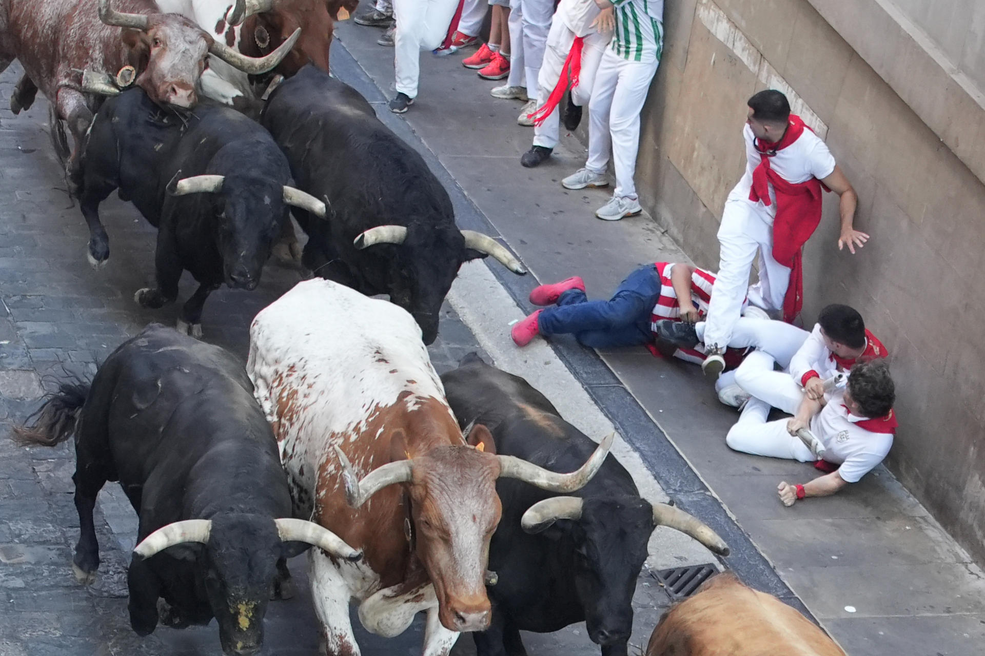 Varios mozos caen al paso de los toros de la ganadería gaditana de La Palmosilla en el tramo del Ayuntamiento durante el séptimo encierro de los Sanfermines 2025 este domingo en Pamplona. EFE/ Ainhoa Tejerina
