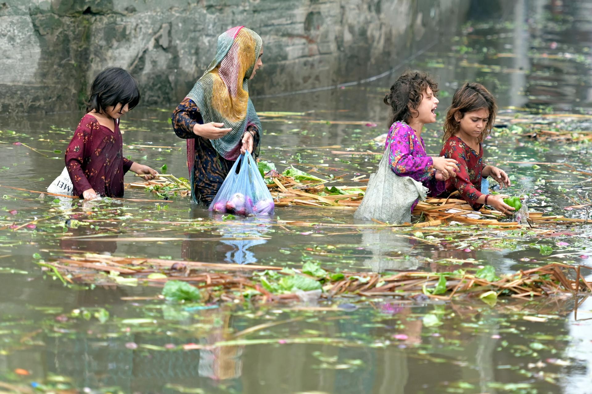 Imagen de este miércoles 23 de julio en Lahore, Pakistán. EFE/EPA/A. HUSSAIN