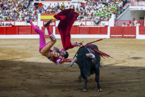 El diestro Emilio de Justo volteado por el primero de su lote durante la corrida celebrada hoy jueves en la plaza de toros de Cuatro Caminos, en Santander, incluido en la Feria de Santiago que se celebra en la capital cántabra. EFE / Roman G. Aguilera.