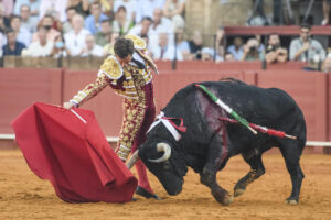 El diestro madrileño Julián López 'El Juli' durante la faena de su último toro en la Plaza de la Maestranza de Sevilla. EFE/ Raúl Caro.Archivo
