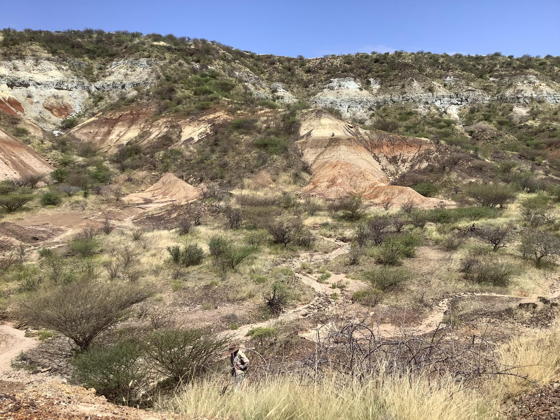 El yacimiento de Buluk, al norte de Kenia, formado hace aproximadamente 16 millones de años, donde se han extraído fósiles para este estudio. En Buluk se han encontrado más proteínas incrustadas en el esmalte de los dientes fósiles que en cualquier otro yacimiento de edad comparable. Crédito: Ellen Miller