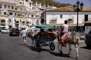Un arriero con sus burros pasea a unos turistas por la localidad malagueña de Mijas, en una imagen de archivo. EFE/Jorge Zapata