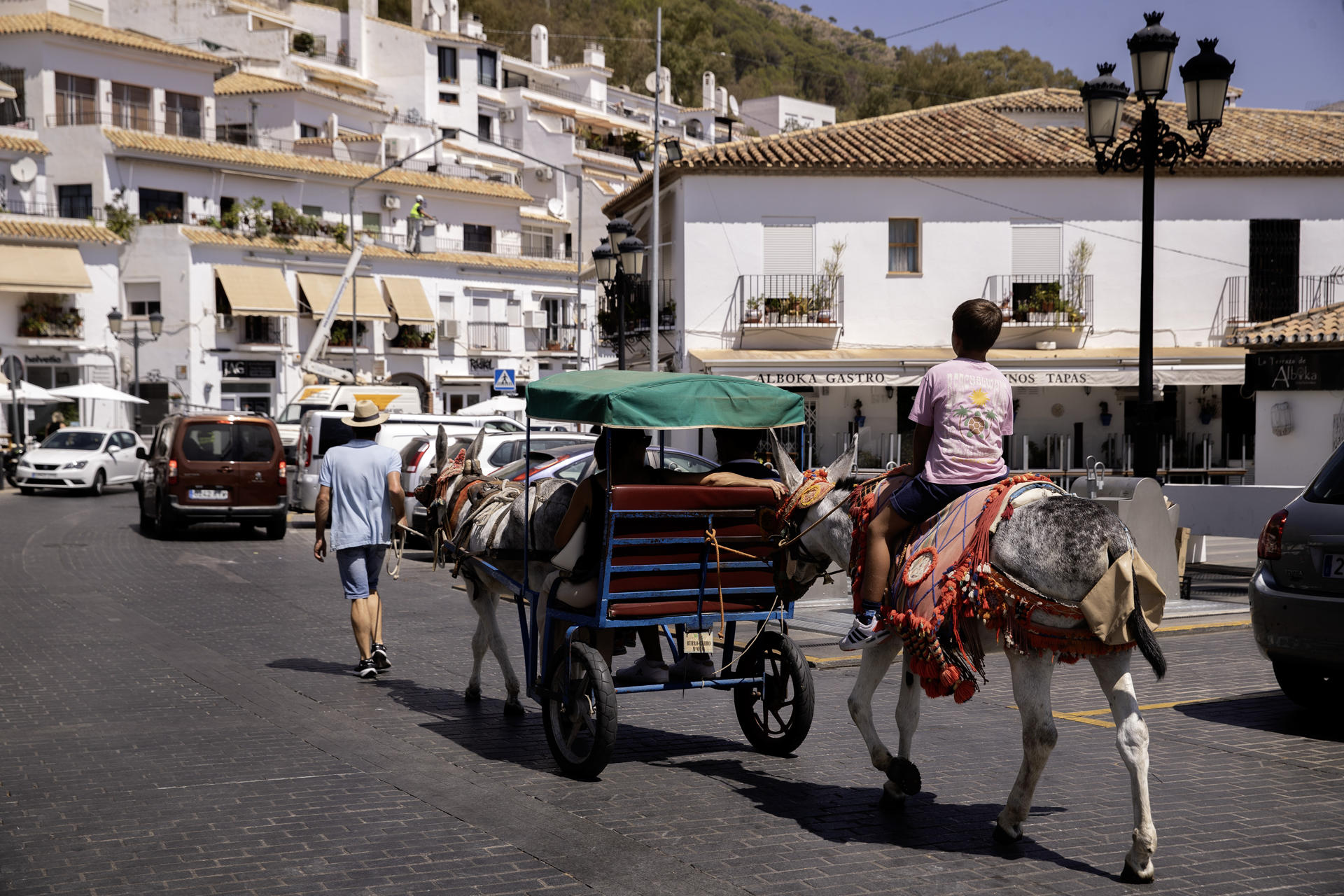 Un arriero con sus burros pasea a unos turistas por la localidad malagueña de Mijas, en una imagen de archivo. EFE/Jorge Zapata