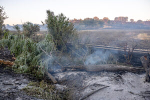 Fotografía de archivo de un incendio forestal que quedó controlado el pasado lunes en el término municipal de La Torre de Esteban Hambrán (Toledo). EFE/Ismael Herrero