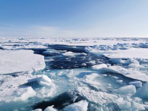 Tras analizar sedimentos antiguos del fondo marino y realizar simulaciones climáticas detalladas, el equipo de investigación no encontró pruebas de la presencia de una gruesa plataforma de hielo. En cambio, este estudio describe un Ártico que, a pesar de ser frío y helado, aún tenía zonas de agua abierta que permitían la actividad biológica y la circulación oceánica. EFE: Crédito: Morven Muilwijk.