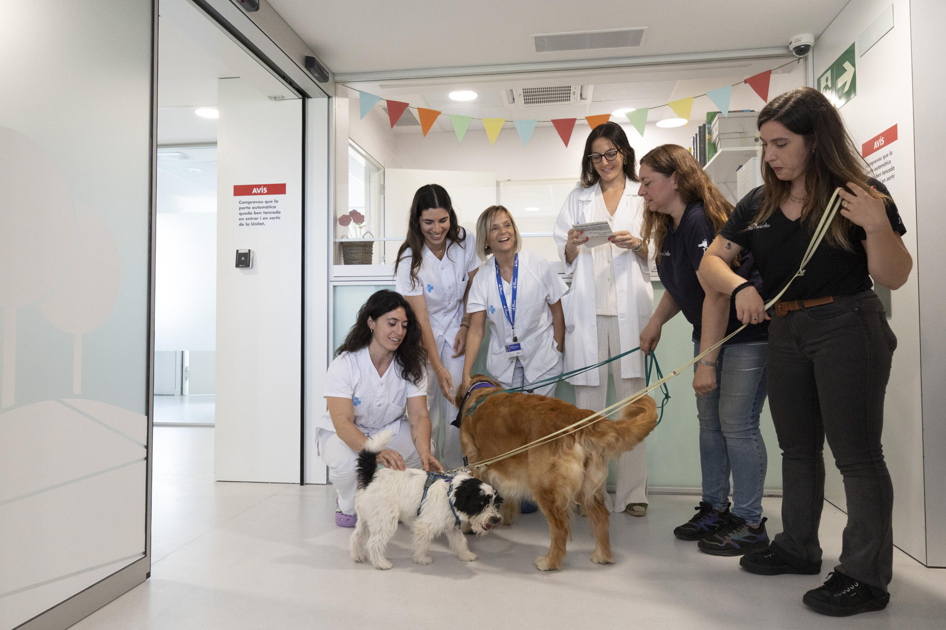 El Hospital Vall d’Hebron de Barcelona ha presentado este viernes su tratamiento para trastornos de salud mental en niños y adolescentes a través de terapia asistida con perros, unos animales que les ayudan a relacionarse y regular emociones durante su ingreso. EFE/Marta Pérez