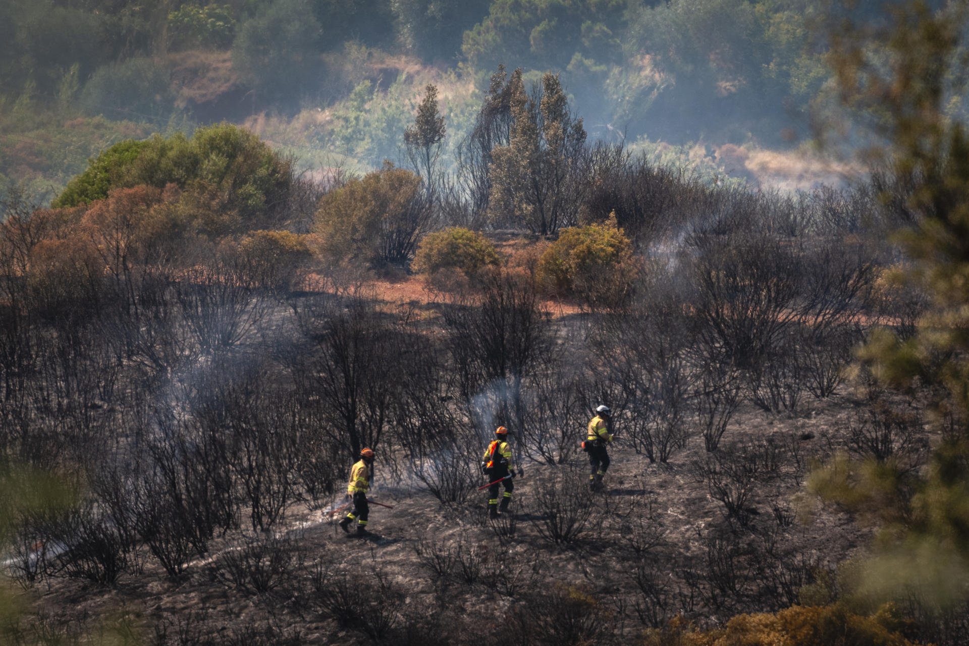 Los vecinos de los barrios de Pedreres y Font de la Pólvora de Gerona permanecen confinados a causa de un incendio de vegetación que se ha declarado en la zona conocida como Polvorí y que ha provocado una densa columna de humo, según informa el Ayuntamiento y Protección Civil. EFE/David Borrat
