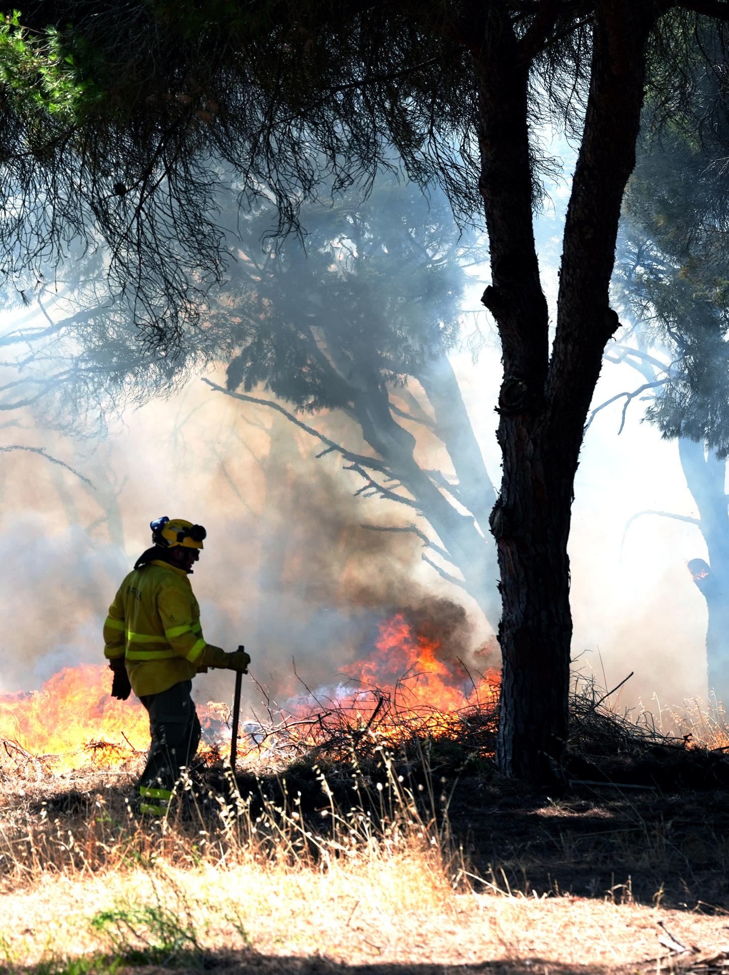 Efectivos del Infoca y del Consorcio Provincial de Bomberos trabajan en la extinción de un incendio en Chiclana de la Frontera (Cádiz) que ha obligado al desalojo preventivo de algunas viviendas, según han informado fuentes del Consorcio Provincial de Bomberos.EFE/Román Ríos