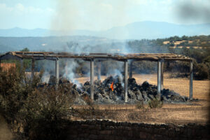 Vista de una de las zonas quemadas por el primer gran incendio forestal del año en España, que ha ocasionado la muerte de dos personas en Lleida. EFE/Álex López