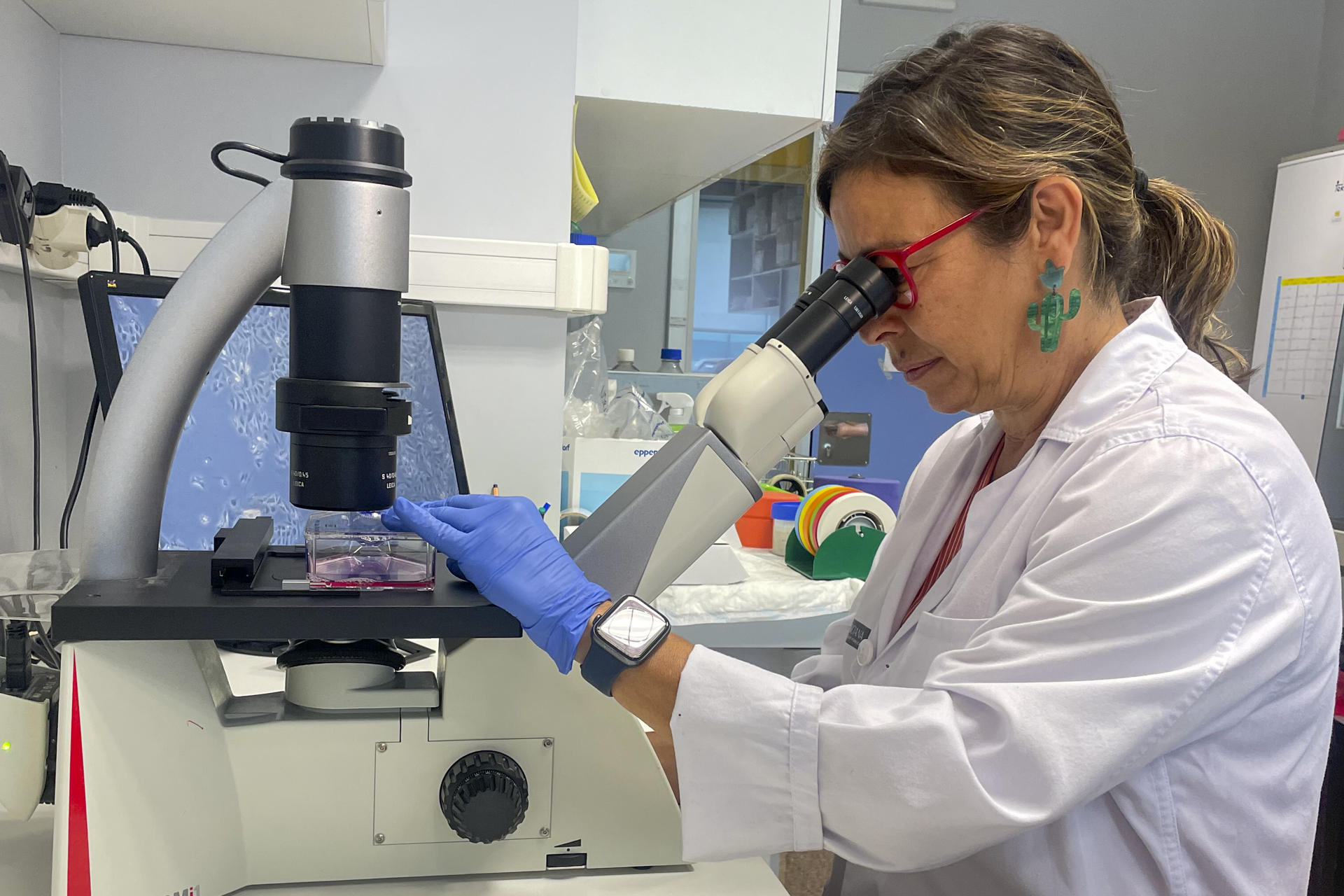 Imagen de archivo (02/09/2024) de la doctora en Biología en La Fe, Marta Benet, contemplando células tumorales con motivo de la primera vacuna experimental contra el cáncer de pulmón que han recibido pacientes del Hospital La Fe de València y del hospital Provincial de Castellón.
EFE/Raquel Segura