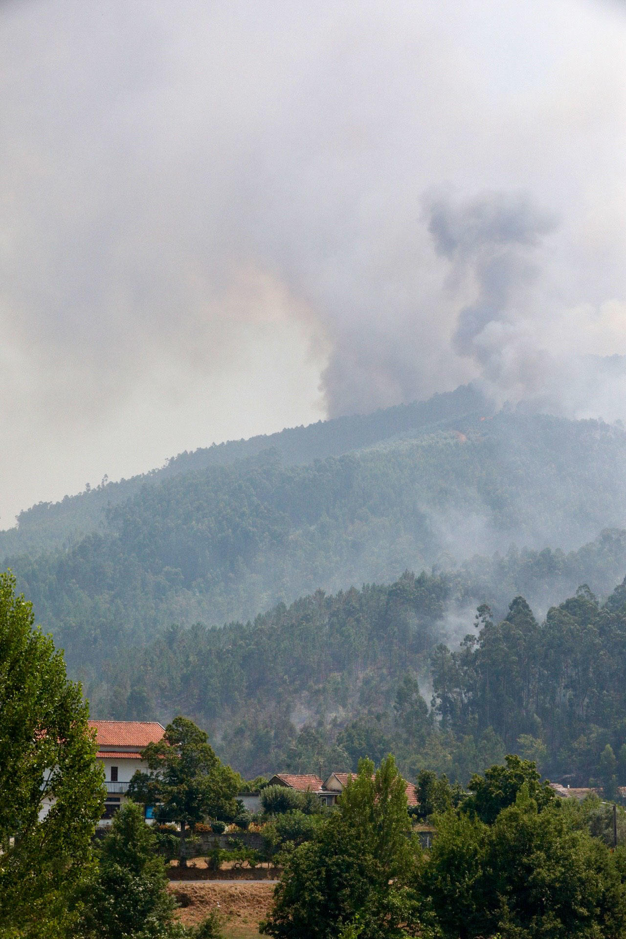 Vista del incendio en las inmediaciones del pueblo de Nespereiras, en el concejo luso de Arouca. EFE/Carlos García