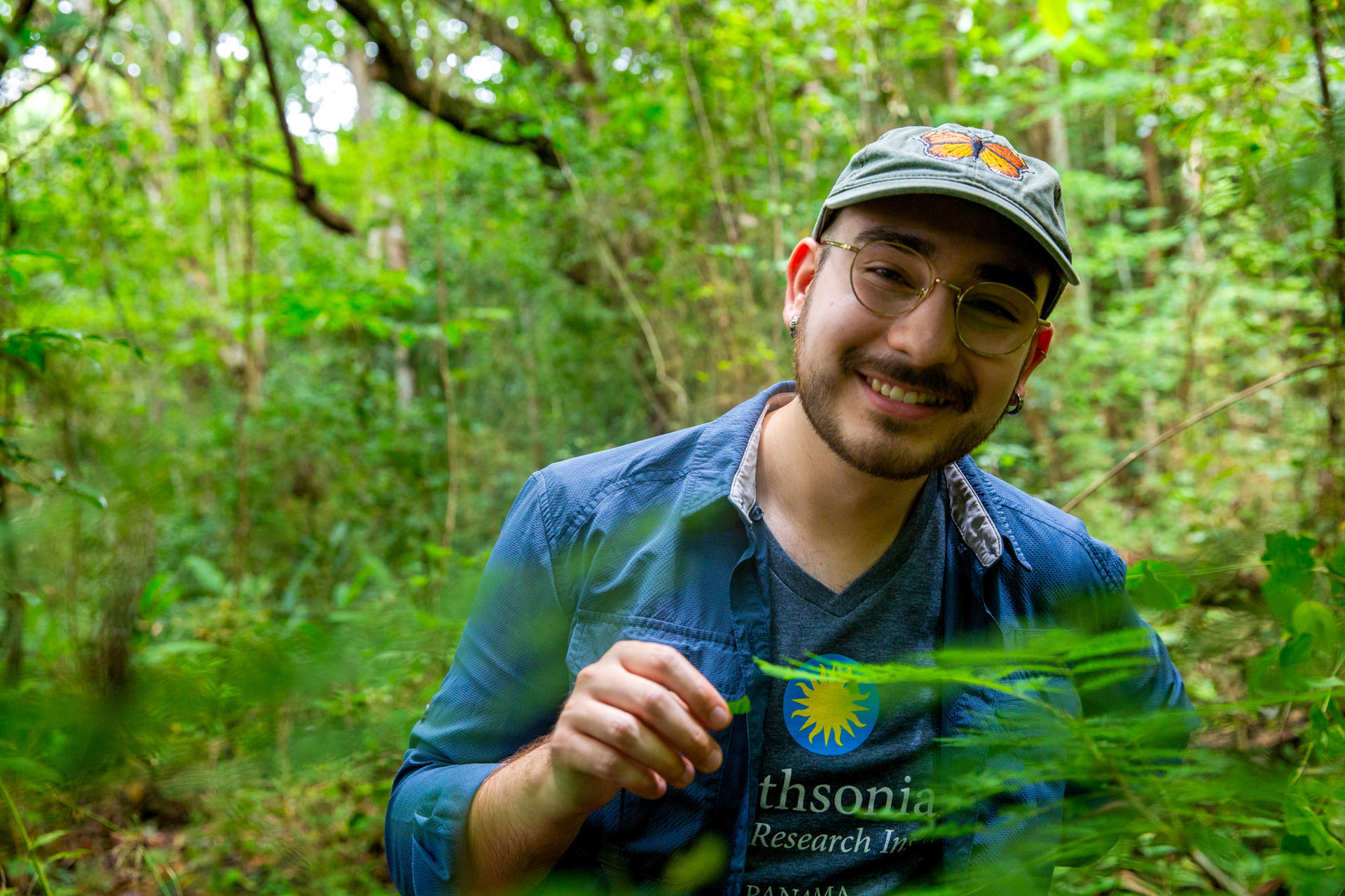 Fotografía cedida este lunes, 28 de julio, por el Instituto Smithsonian de Investigaciones Tropicales (STRI) del becario de STRI y primer autor de un estudio acerca de una planta que es defendida por hormigas parásitas de herbívoros más predadores, Cristian Molina. EFE/Instituto Smithsonian De Investigaciones Tropicales/Jorge Alemán