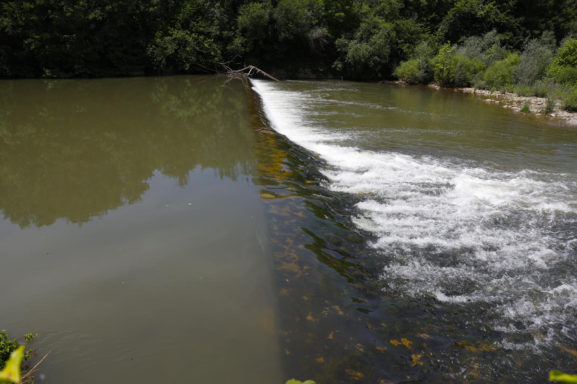 La eliminación de barreras fluviales en tramos urbanos suscita controversia entre los ciudadanos que las consideran parte de la historia y del paisaje de su localidad y que, en muchos casos, desconocen los beneficios que supone quitarlas tanto para el medioambiente como para reducir el riesgo de inundación. En cumplimiento de la normativa europea, estas infraestructuras, entre las que se encuentran azudes, pequeñas presas o vados, se están eliminando con el objetivo de devolver a los ríos su forma original y contribuir así a su recuperación y a la de las especies que los habitan. Vista del azud de Jorajuría. EFE/ JJ. Guillén