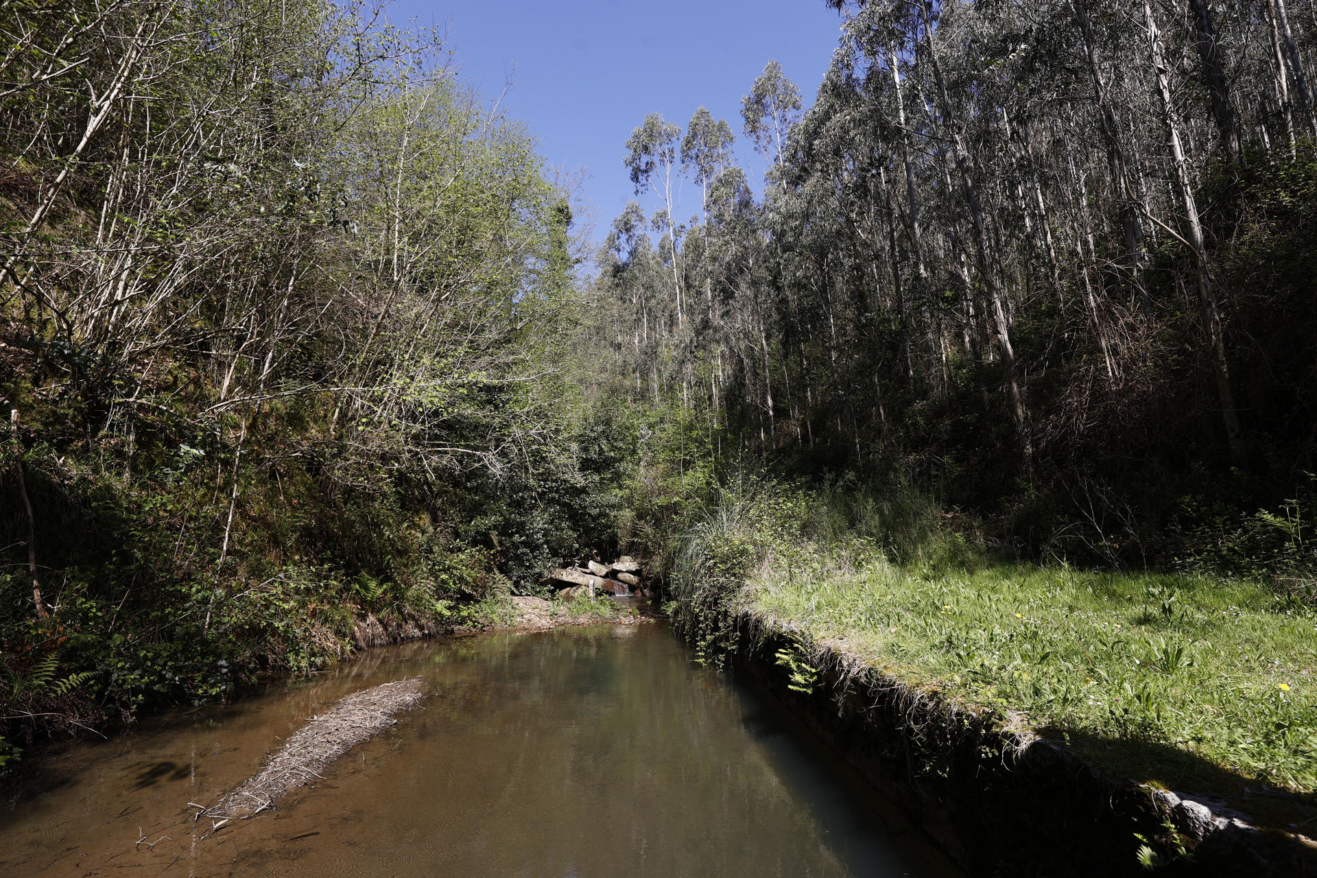 Una zona de captación de agua en una zona rural del Urdabai en Bizkaia. El 'laboratorio' en el que se ha convertido el bello paraje vizcaíno de la Reserva de la Biosfera de Urdaibai, donde un equipo investiga desde hace años la mejora de la calidad del agua dirigida al consumo humano, reúne aprendizajes de posible interés ante las nuevas exigencias europeas para proteger las captaciones. EFE/Luis Tejido
