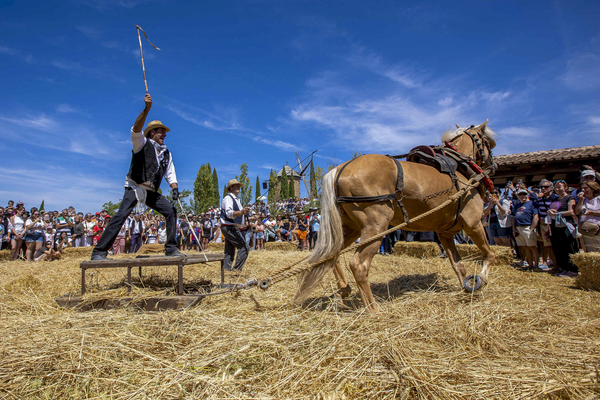 La localidad riojana de Ocón ha celebrado este domingo la Fiesta de la Molienda, que ha cumplido su edición número 18 para recordar y enseñar a los jóvenes cómo se vivía en gran parte de La Rioja hasta hace algunas décadas y cómo era el trabajo que se realizaba en torno al cultivo de cereal.Alrededor de dos mil quinientas personas han podido ver cómo se realizaban los trabajos de siega, acarreo del cereal, la trilla y la separación de la paja y el trigo, todo ello a mano, como se realizaba en todos los municipios cerealistas riojanos hasta la llegada de las cosechadoras..-EFE/Raquel Manzanares