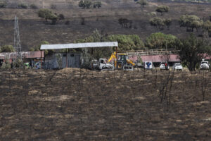 Hípica donde falleció la víctima del incendio de Tres Cantos, este miércoles. El incendio forestal declarado en Tres Cantos (Madrid) a última hora de la tarde del lunes se ha cobró ayer, martes, una víctima mortal, un hombre de 50 años que fue trasladado al hospital con quemaduras en el 98 % de su cuerpo. Según han indicado a EFE fuentes de la investigación, se trataba del mozo de cuadra en un centro de hípica de la localidad y padre del capataz de esa instalación, donde murieron más de una veintena de caballos. Según varios testigos, intentó salvar a los animales antes de ser rescatado él mismo del tejado de una vivienda. EFE/ Chema Moya/Archivo
