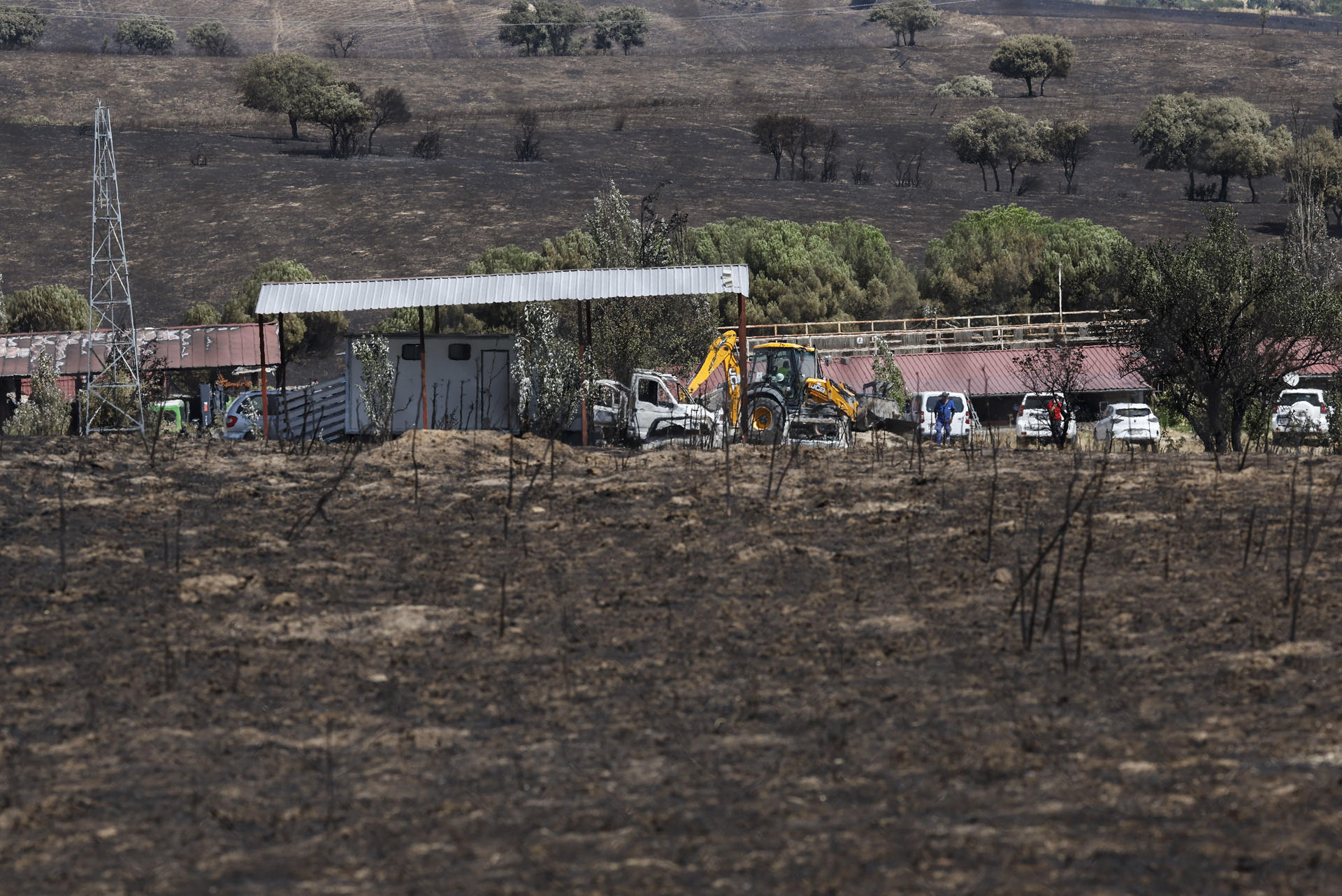 Hípica donde falleció la víctima del incendio de Tres Cantos, este miércoles. El incendio forestal declarado en Tres Cantos (Madrid) a última hora de la tarde del lunes se ha cobró ayer, martes, una víctima mortal, un hombre de 50 años que fue trasladado al hospital con quemaduras en el 98 % de su cuerpo. Según han indicado a EFE fuentes de la investigación, se trataba del mozo de cuadra en un centro de hípica de la localidad y padre del capataz de esa instalación, donde murieron más de una veintena de caballos. Según varios testigos, intentó salvar a los animales antes de ser rescatado él mismo del tejado de una vivienda. EFE/ Chema Moya/Archivo