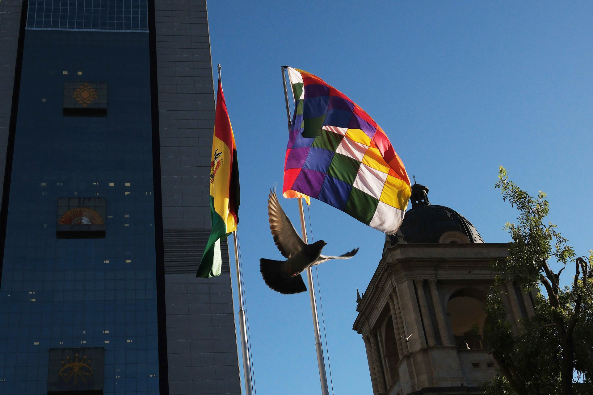 Fotografía de banderas de Bolivia este lunes, en la Plaza Murillo en La Paz (Bolivia). EFE/Luis Gandarillas