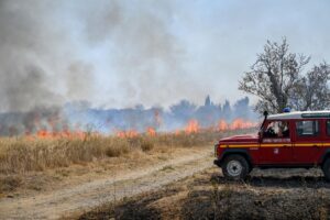 A firefighting vehicle is deployed to tackle a brush fire as a wildfire continues to spread in Saint-Laurent-de-la-Cabrerisse, Aude department, southern France, 07 August 2025. EFE/EPA/PHILIPPE MAGONI/Archivo