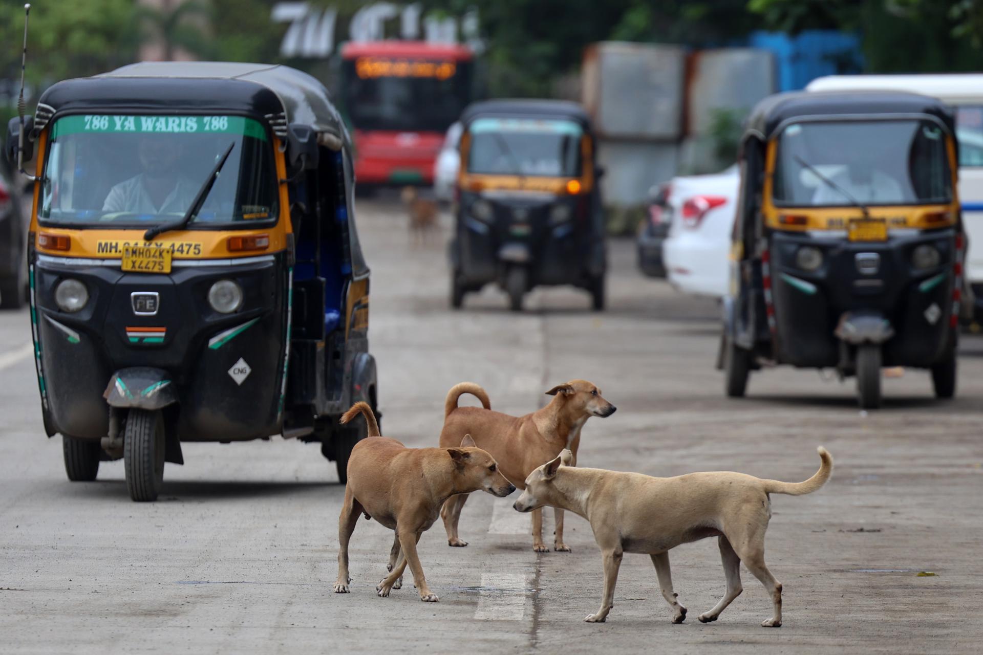 MUMBAI EFE/EPA/DIVYAKANT SOLANKI
