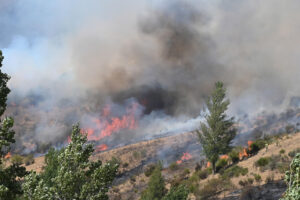 Imagen del incendio que quema Fasgar (León) desde el pasado 8 de agosto, que posee unas condiciones "nunca vistas", según apuntan los medios que tratan de sofocarlo. EFE/ J. Casares