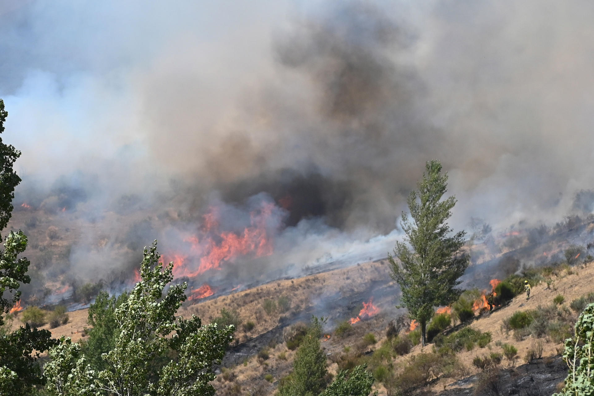 Imagen del incendio que quema Fasgar (León) desde el pasado 8 de agosto, que posee unas condiciones "nunca vistas", según apuntan los medios que tratan de sofocarlo. EFE/ J. Casares