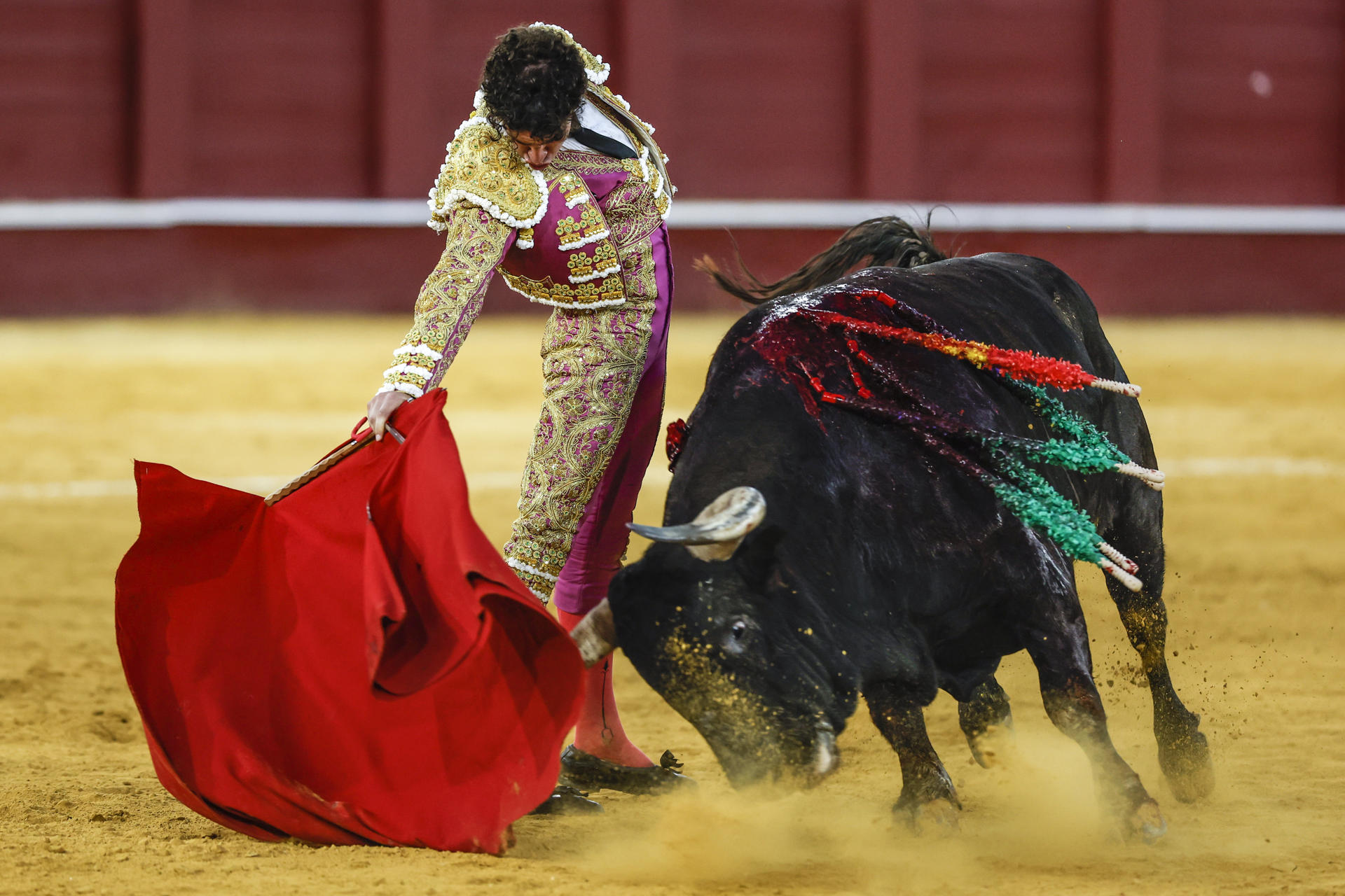 El diestro Víctor Hernández durante el festejo taurino de la Feria de Málaga celebrado hoy viernes en la plaza de toros de la Malagueta. EFE/ Jorge Zapata