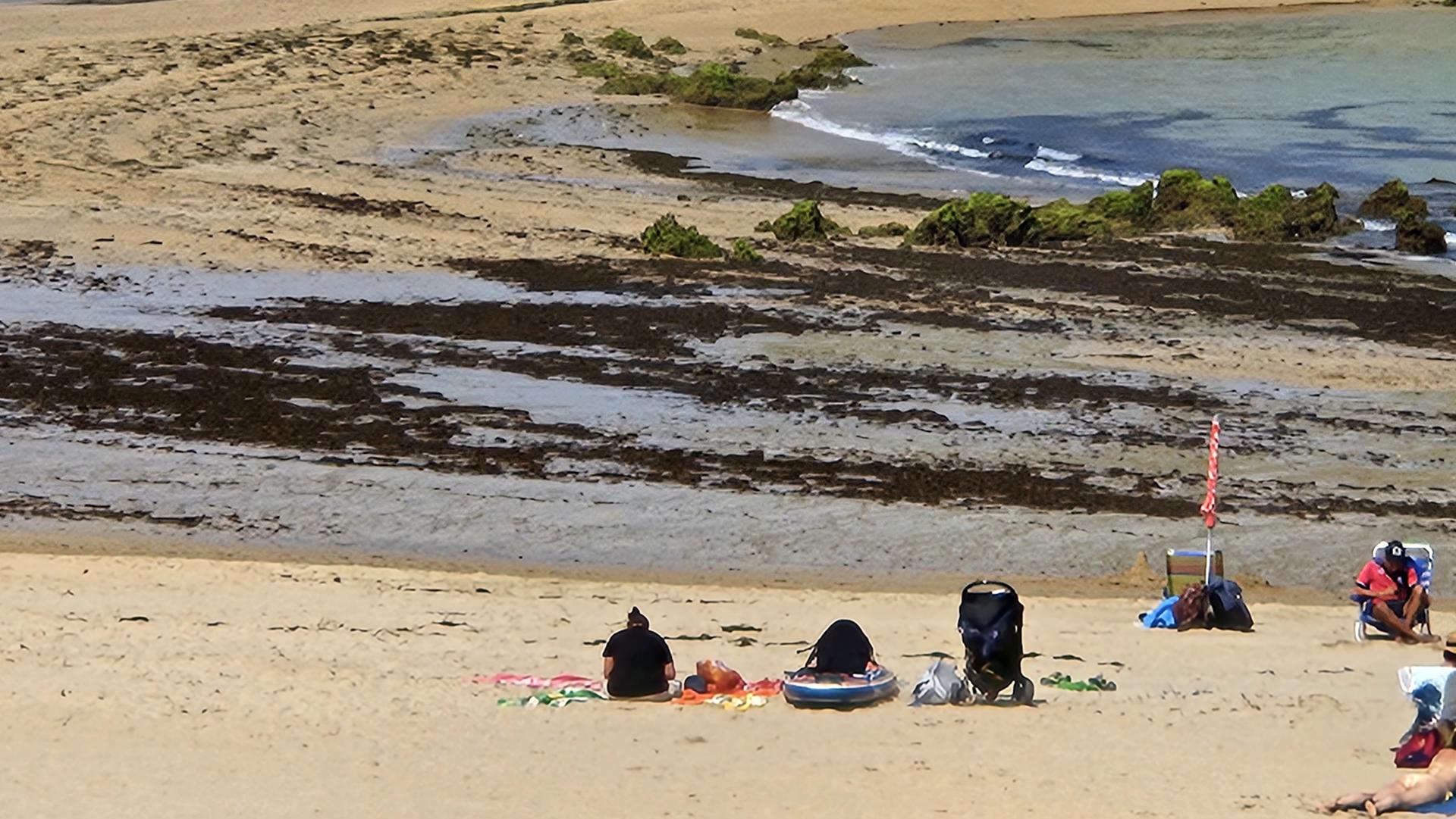 Imagen de la playa de Helgueras, en la localidad cántabra de Noja, cubierta por alga asiática hace una semana. EFE/Natalia Arriaga