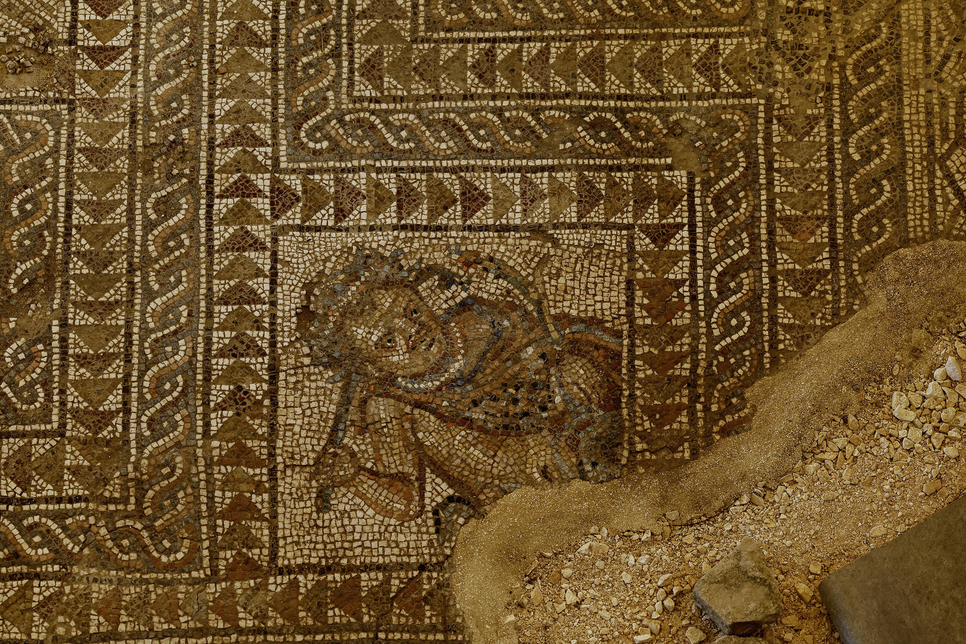 Una parte del mosaico del primer cuarto del siglo III de 27 metros cuadrados, del que se conserva en muy buen estado el 60 por ciento y que ha sido excavado este verano en Écija (Sevilla), da muestra del lujo, la ostentación, la riqueza y el elevado nivel artístico del que disfrutaron las aristocracias locales del imperio Romano.EFE/José Manuel Vidal