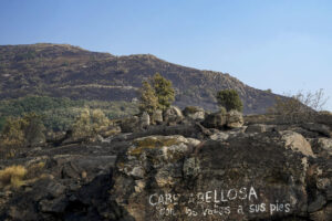 Áreas calcinadas en la localidad cacereña de Cabezabellosa por el incendio de Jarilla (Cáceres). EFE/EDUARDO PALOMO