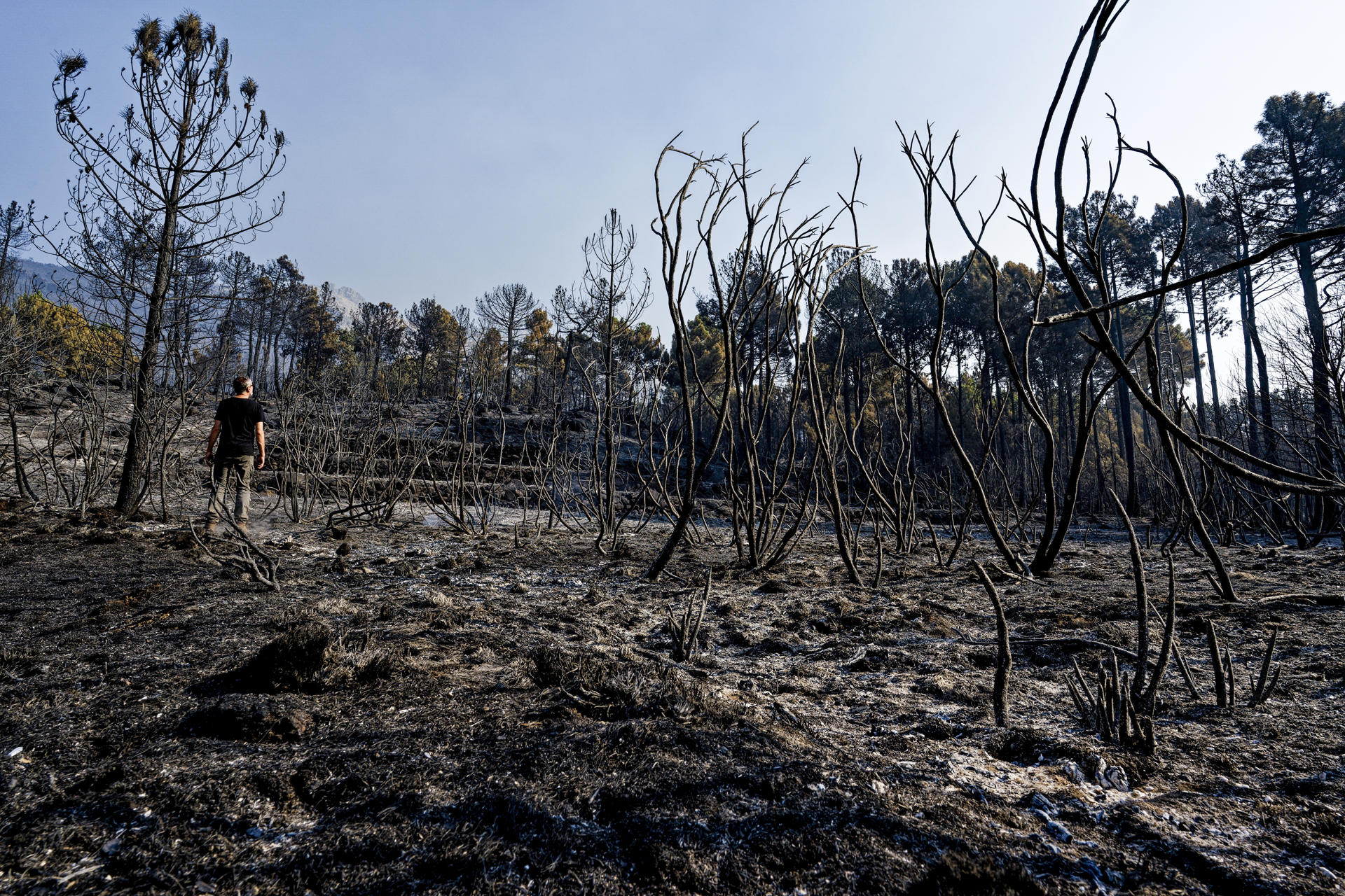Vista de los efectos del incendio en las localidades abulenses de Mombeltrán, Cuevas del Valle y El Arenal. El incendio forestal que desde la noche del pasado lunes se mantiene activo en el Valle del Tiétar, al sur de la provincia de Ávila, no sufre reproducciones, después de una noche "tranquila", en la que el trabajo del amplio dispositivo desplazado a la zona ha sido "productivo". Tras la evolución positiva del jueves, favorable y sin llama en el perímetro de 25 kilómetros en el que se han quemado en torno a 2.200 hectáreas, la situación se mantiene en la mañana de este viernes con trabajos "metro a metro", según ha informado la Junta de Castilla y León.-EFE/ Raúl Sanchidrián
