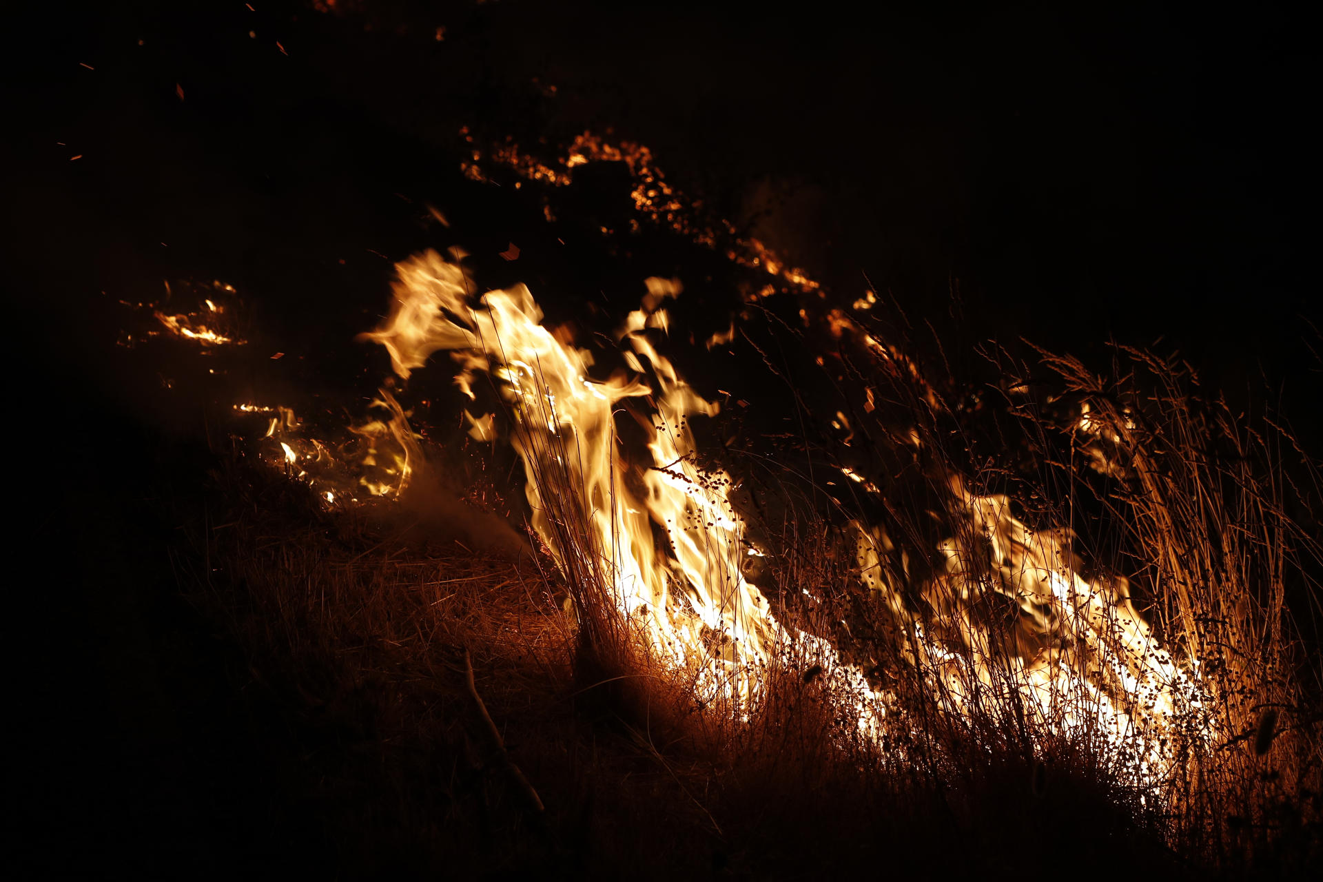 Llamas en el incendio de Augasmestas, entre Pobra do Brollón y Quiroga Galicia tiene este martes tres incendios forestales activos, entre ellos el que se declaró el lunes en A Pobra do Brollón (Lugo), que obligó a activar la situación 2 por su cercanía con núcleos de población y que alcanza las 600 hectáreas. El último balance de Medio Rural recoge que el foco, que ha avanzado 500 hectáreas durante la noche, está próximo a los núcleos de Golmar, en A Pobra do Brollón, y a los de Conceado y San Pedro, en el municipio vecino de Quiroga. EFE/ Eliseo Trigo