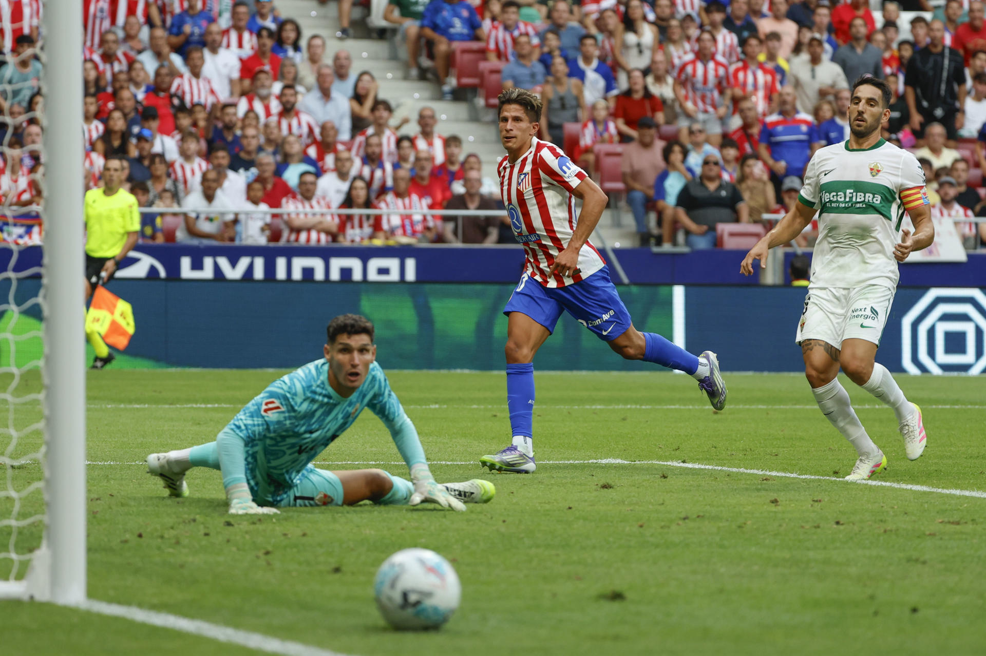 El delantero del Atlético Giuliano Simeone (c) chuta ante el portero Matías Dituro (i), del Elche, durante el partido de fútbol de LaLiga EA Sports que Atlético de Madrid y Elche CF disputaron en el estadio Metropolitano. EFE/Mariscal
