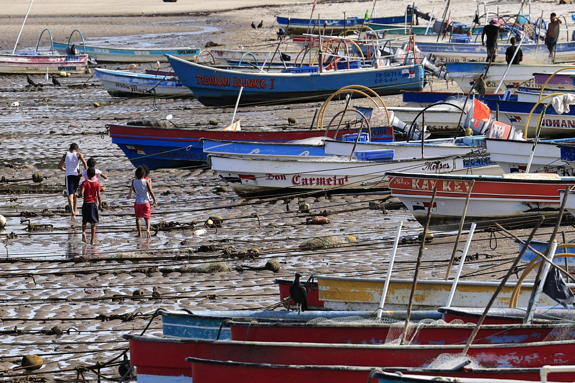 Niños juegan en las costas de Puerto Caimito este lunes, en La Chorrera (Panamá). EFE/ Bienvenido Velasco
