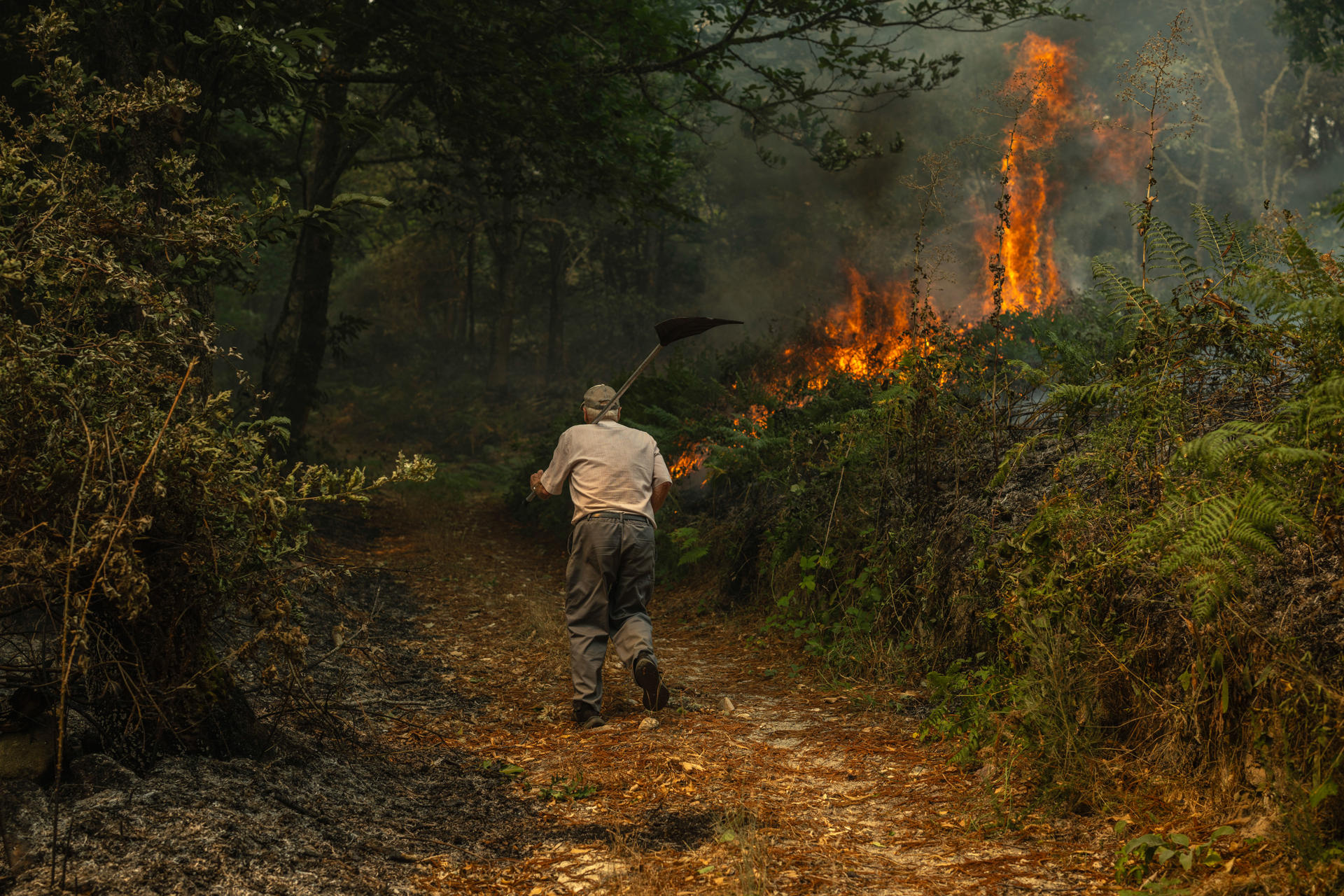 Un vecino de la aldea de Pareisás lucha contra en fuego en el incendio forestal que permanece activo en A Pobra de Trives (Ourense). EFE/Brais Lorenzo