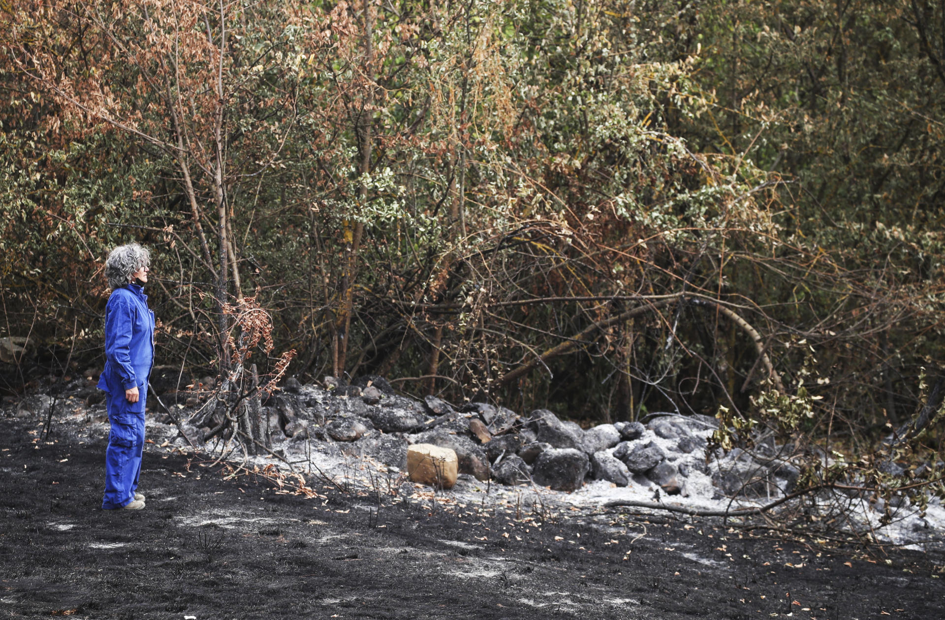 Paraje quemado en el espacio natural de Las Médulas en la provincia de León este martes. EFE/Ana F. Barredo
