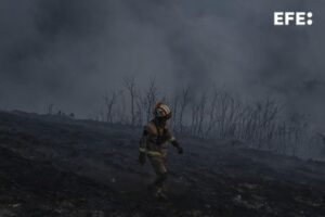 Un bombero forestal ayer domingo en el incendio de la localidad de Maceda (Ourense). EFE/Brais Lorenzo