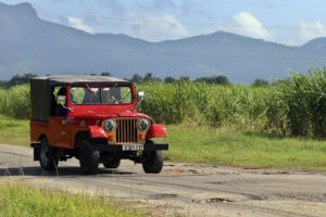 Un automóvil pasa junto a una plantación de caña de azúcar este miércoles, en la provincia de Artemisa (Cuba). EFE/ Ernesto Mastrascusa