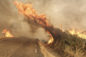 El fuego cruza una carretera tras el incendio forestal de este viernes, en las proximidades de Cipérez (Salamanca). EFE/JM GARCIA