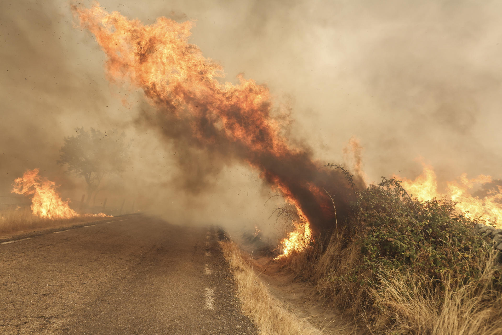 El fuego cruza una carretera tras el incendio forestal de este viernes, en las proximidades de Cipérez (Salamanca). EFE/JM GARCIA