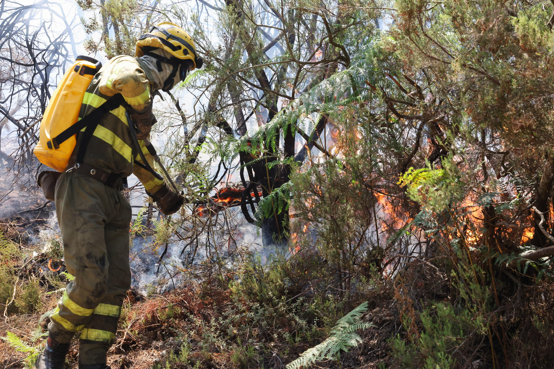 Bomberos trabajan en la extinción del incendio este jueves, en las proximidades de La Alberca (Salamanca). EFE/ JMGARCIA

