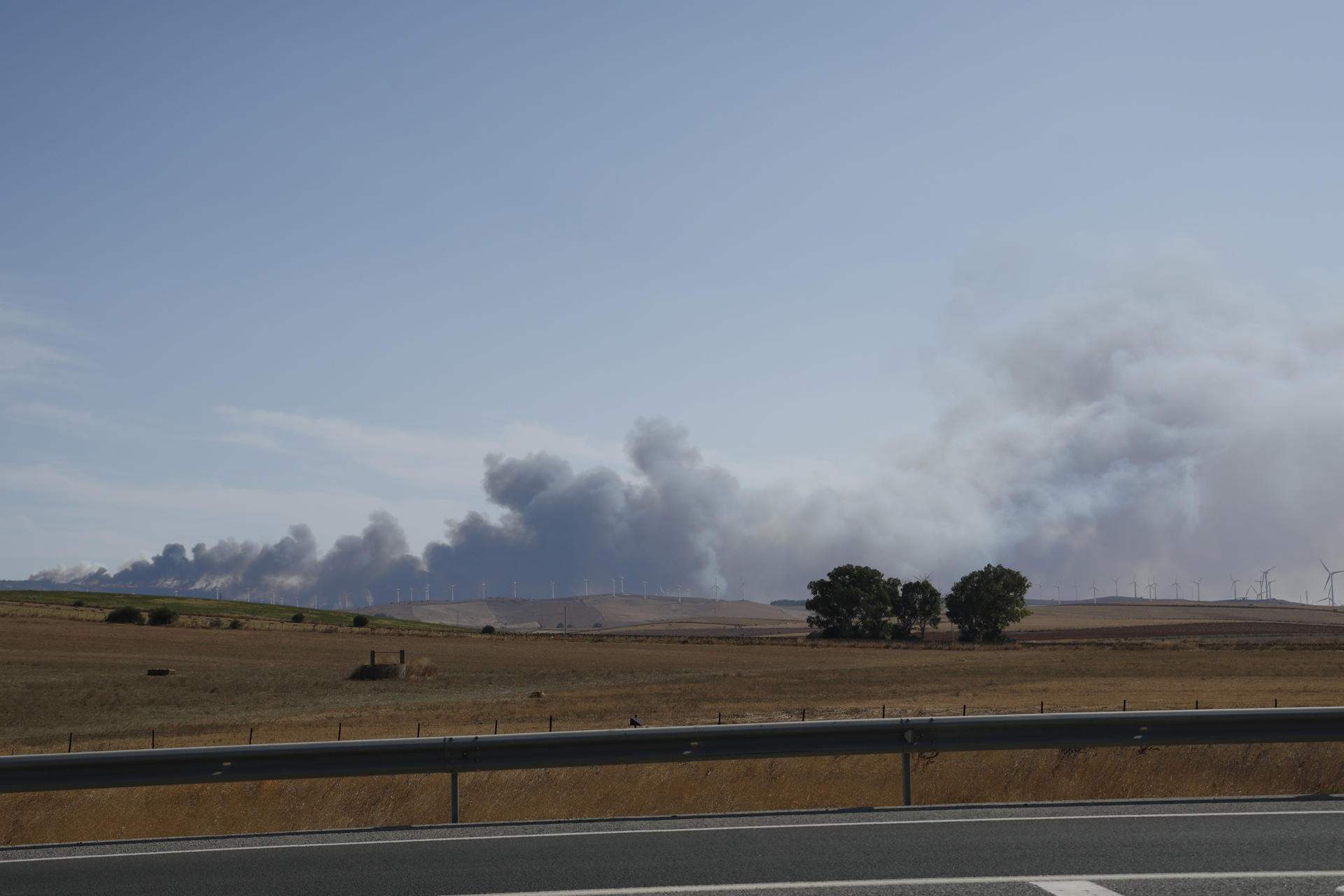 Efectivos del Infoca trabajan en la extinción del incendio declarado en la sierra de la Plata, cerca de la playa de Bolonia en Tarifa (Cádiz), para el que se ha activado esta tarde la fase de emergencia, situación operativa 1, según ha informado en sus redes sociales el consejero andaluz Antonio Sanz. EFE/A.Carrasco Ragel.
