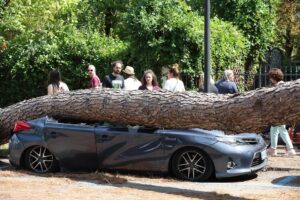 Un árbol caído sobre un coche en Cervia, Italia, el pasado 24 de agosto, debido al temporal en Romaña. EFE/EPA/Fabrizio Zani